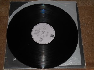 Sanja i Sloba - Delta Project ploca